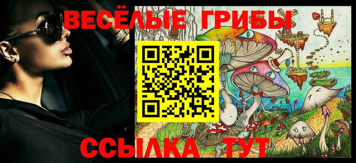 Псилоцибиновые грибы GOLDEN TEACHER  как найти наркотики  Галлюциногенные грибы прущие грибы  Йошкар-Ола  Вход с VPN 
